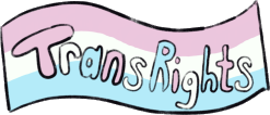 A banner in pink, white, and blue that says 'Trans Rights'.
